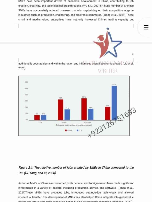 Business Management - SME, MNE contributions in CHINA